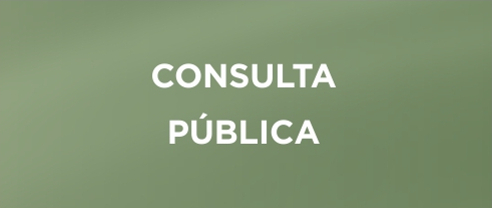 Consulta Pública - Tela Inicial